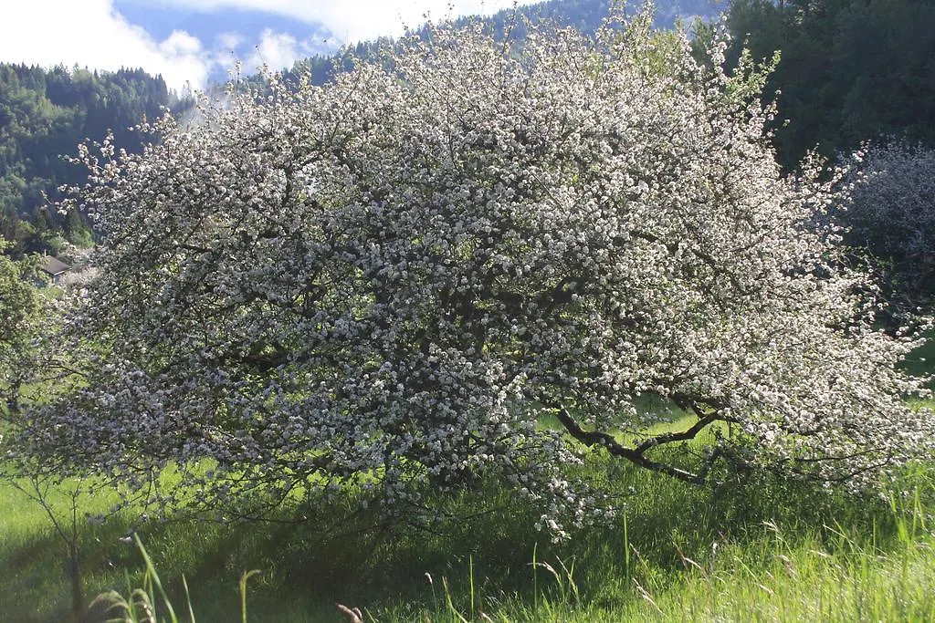 Albergo Diffuso Faller 0*,  Italy